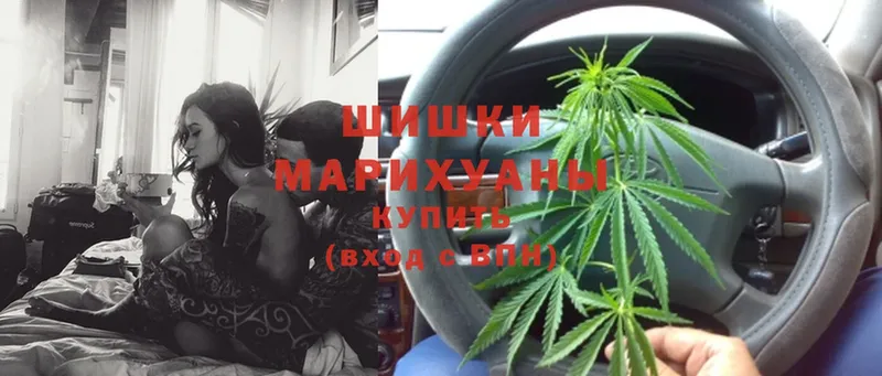 наркота  Клинцы  Конопля LSD WEED 